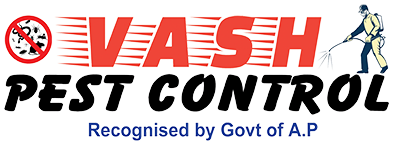 Vash Pest Control Services